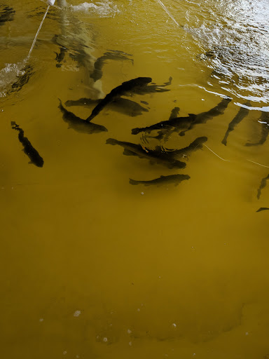 Gun Shop «Hook, Line & Sinker», reviews and photos, 3100 Main St #260, Oakley, CA 94561, USA