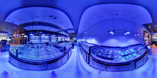 Tropical Fish Store «Living Reef Orlando», reviews and photos, 504 N Alafaya Trail #112, Orlando, FL 32828, USA