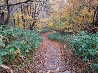旭山記念公園 第2駐車場