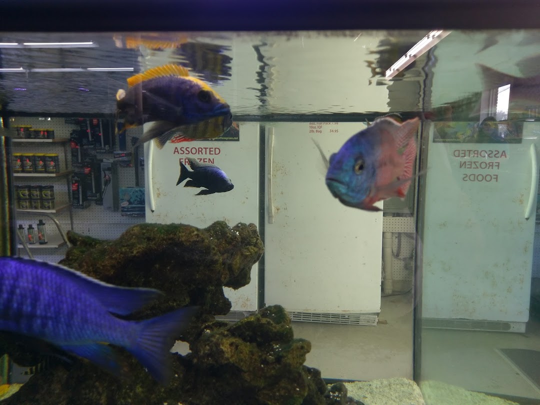 Fishy Business Aquarium