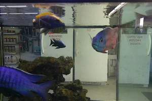 Fishy Business Aquarium image