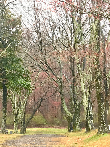 Cemetery «Crest Lawn Memorial Park», reviews and photos, 2000 Marietta Blvd NW, Atlanta, GA 30318, USA