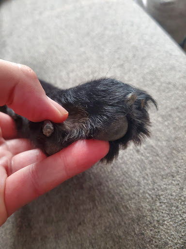 Pet Supply Store «PetSmart», reviews and photos, 1207 Washington St, Hanover, MA 02339, USA