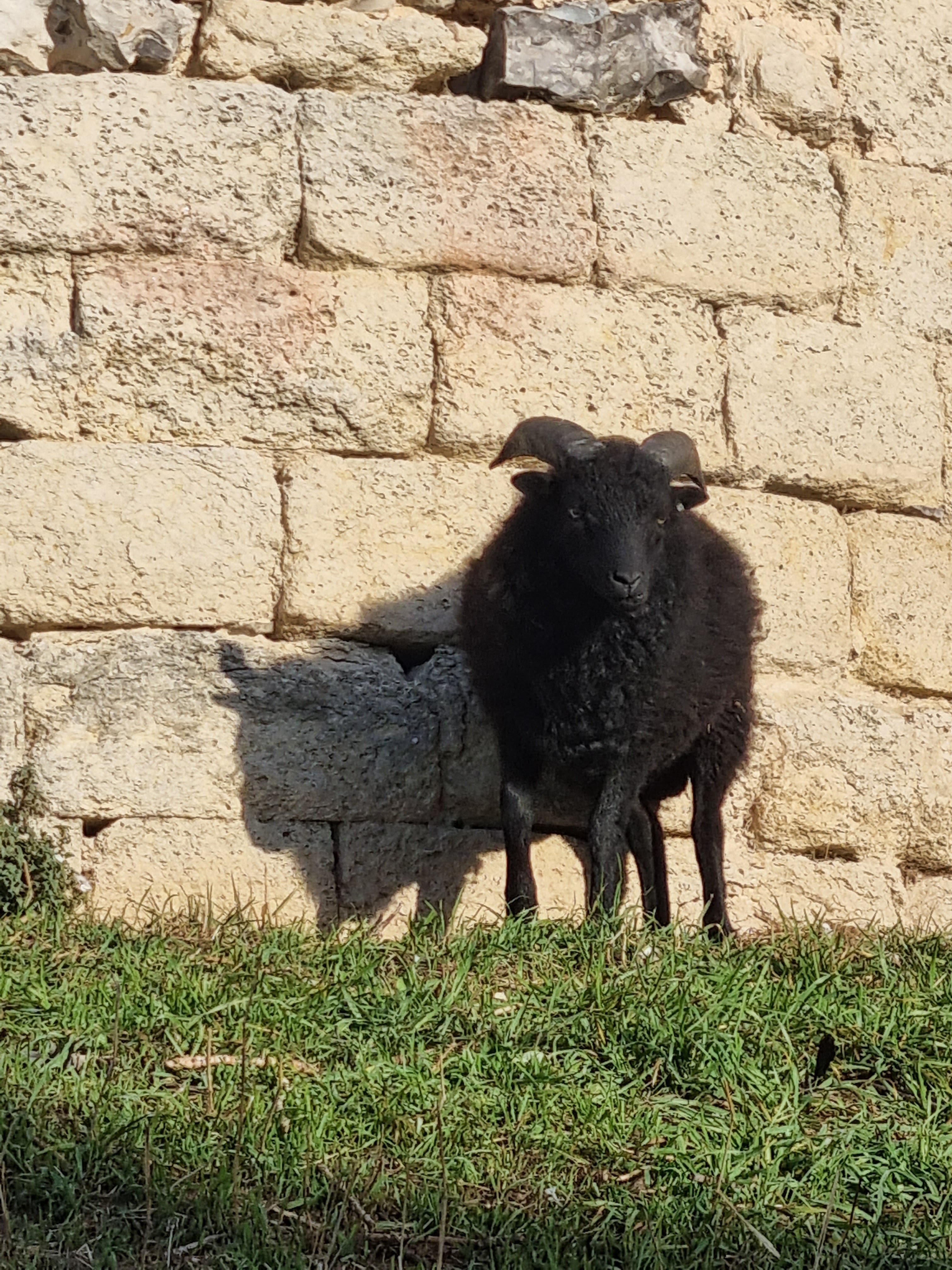 Photo n° 1 de l'avis de Abram.a fait le 12/10/2022 à 20:32