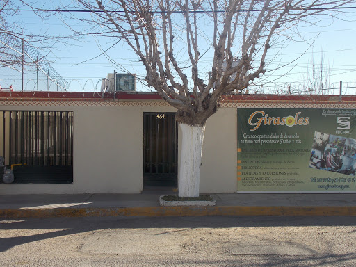 Girasoles, Centro de Desarrollo Integral para el Adulto Mayor, A.C.