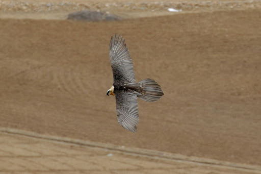 Travel Agency «Ticketsroundtheworld.com», reviews and photos, 16704 International Blvd, SeaTac, WA 98188, USA