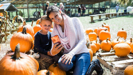 Insurance Agency «Assurant», reviews and photos