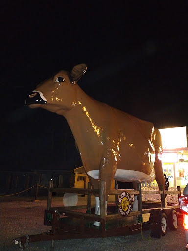 Ice Cream Shop «Chunky Monkey Ice Cream Shop», reviews and photos, 139 Little Senator Cir, Clinton, TN 37716, USA