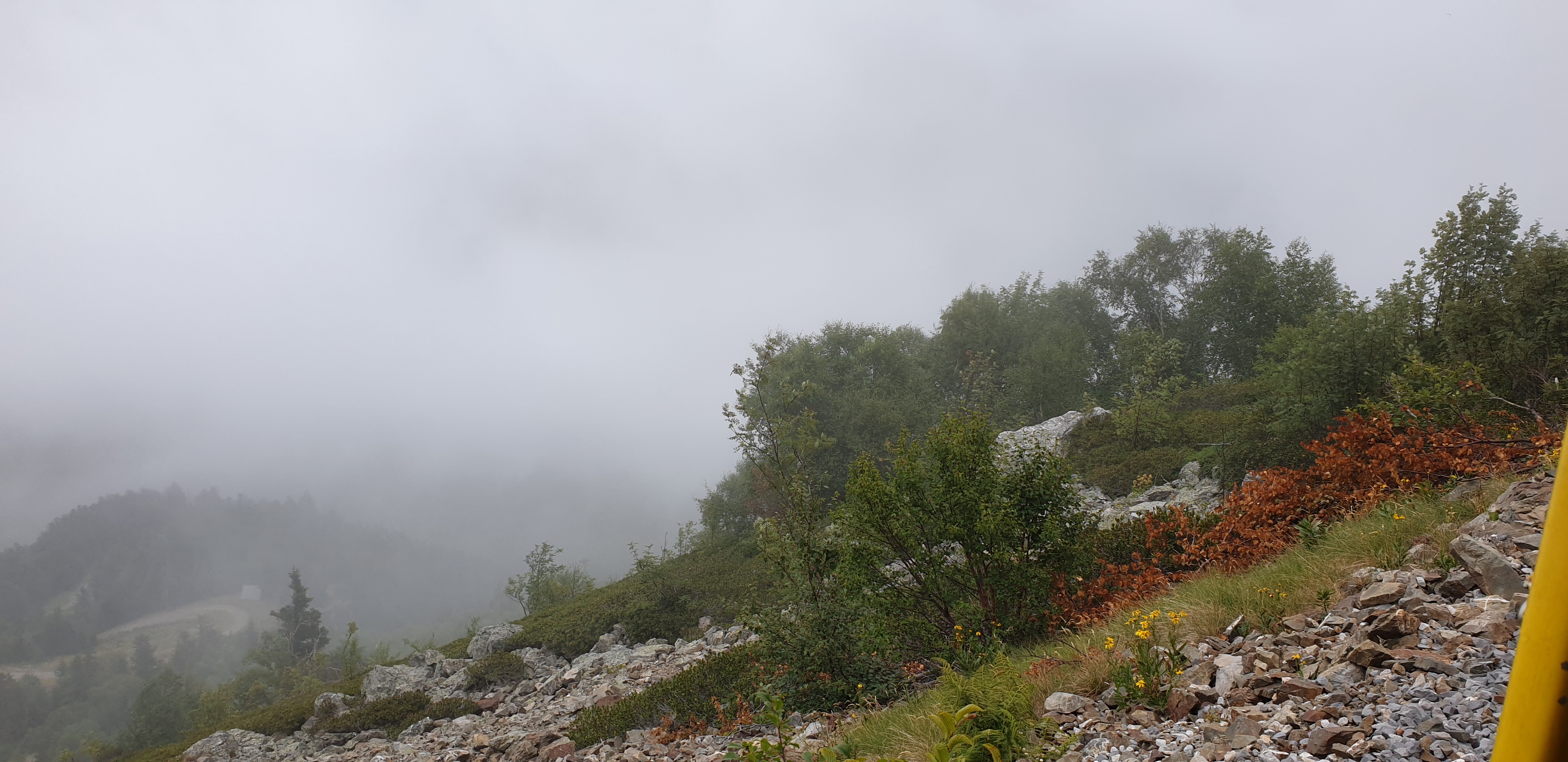 Photo n° 21 de l'avis de Jen. fait le 12/08/2019 à 21:47