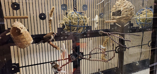 Pet Supply Store «PetSmart», reviews and photos, 14 Crossing Way #2, Augusta, ME 04330, USA