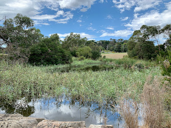 Essex Park Retarding Basin