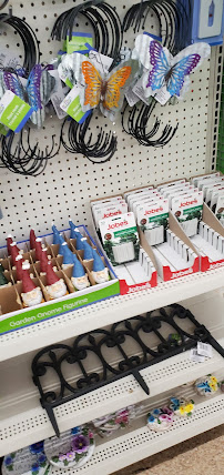 Dollar Tree - Photo 6 - Car repair in Warner Robins, GA, Warner Robins