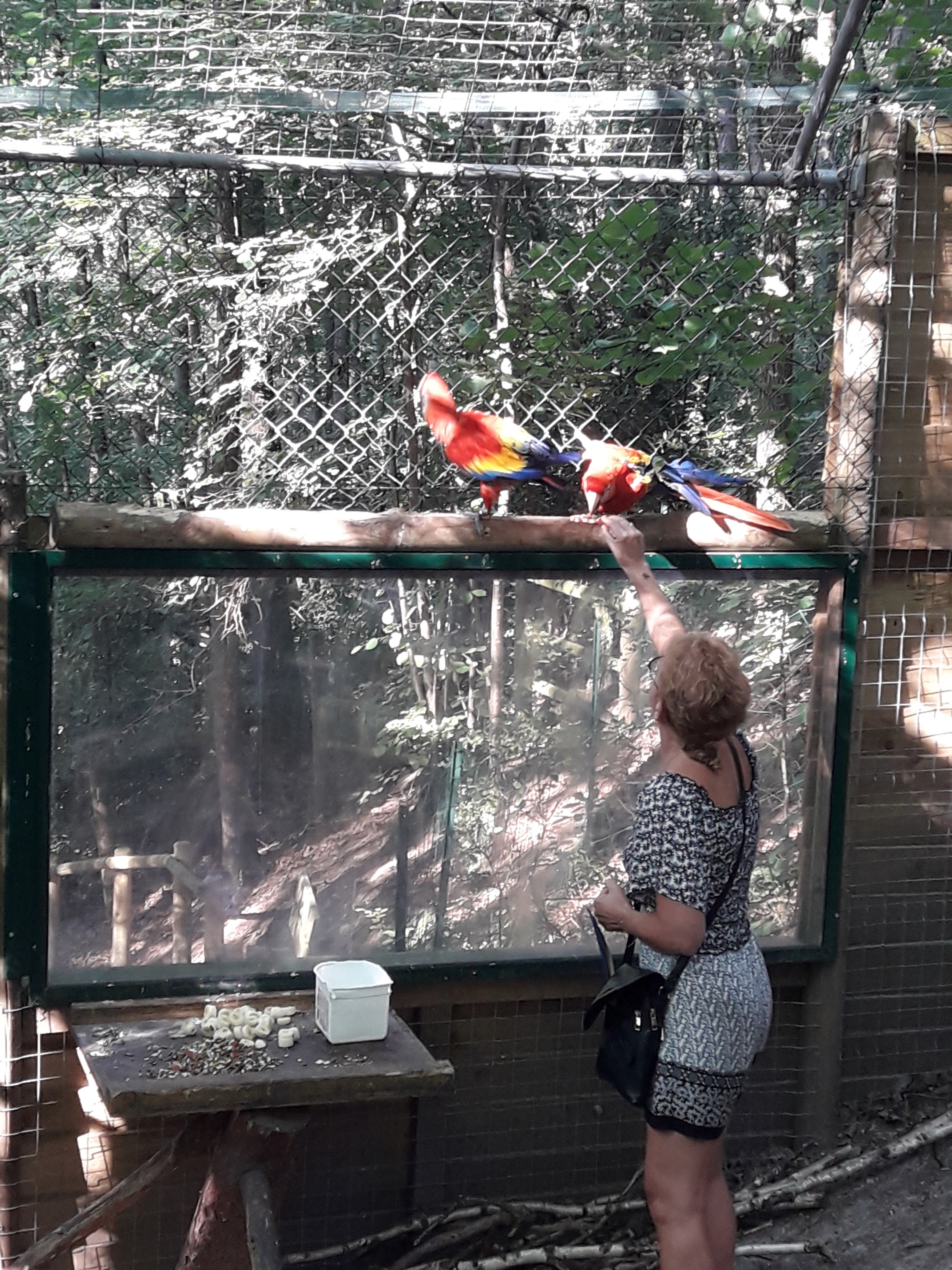 Photo n° 17 de l'avis de Christophe.l fait le 01/07/2018 à 13:30