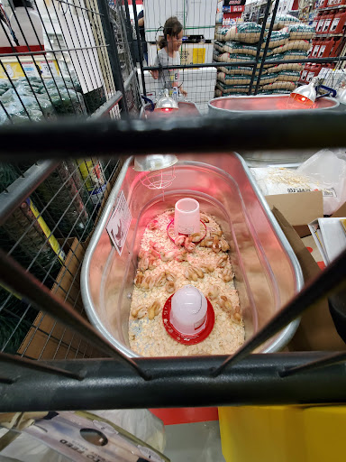 Home Improvement Store «Tractor Supply Co.», reviews and photos, 8135 Brookville Rd, Indianapolis, IN 46239, USA