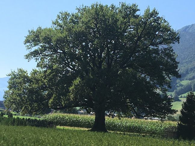 Kavallerieverein Reithalle - Nachtclub