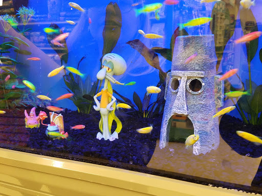 Pet Supply Store «Pet Supplies Plus», reviews and photos, 500 S St W, Raynham, MA 02767, USA