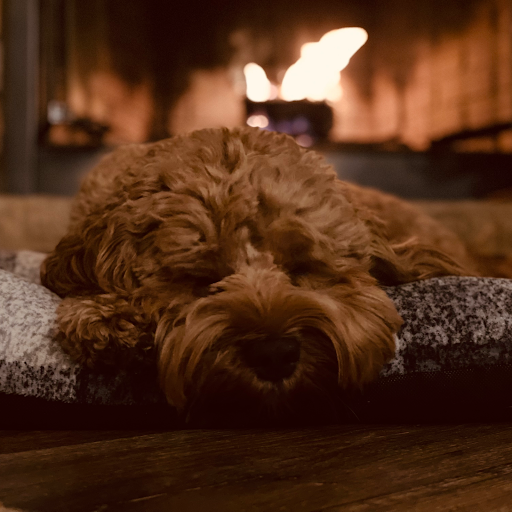 Insurance Agency «Kathy Chambers - State Farm Insurance Agent», reviews and photos