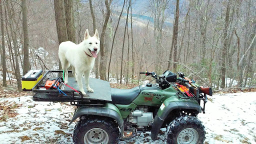 Motorcycle Dealer «Ridersville Cycle», reviews and photos, 75 Good Times Dr, Berkeley Springs, WV 25411, USA