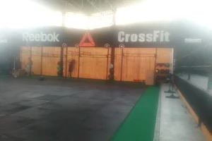 CrossFit Feel Bull image