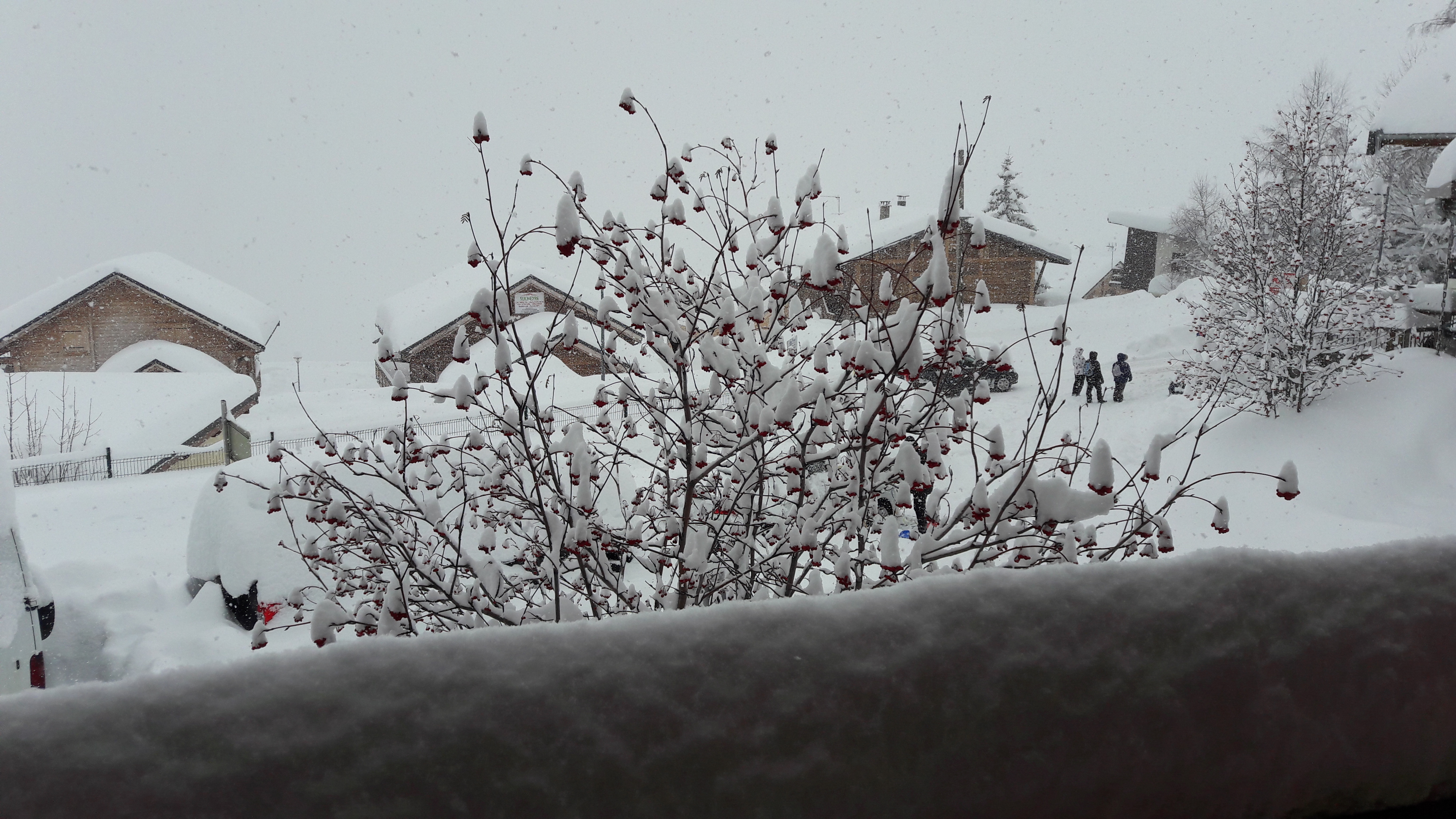 Photo n° 4 de l'avis de Vincent.a fait le 04/03/2019 à 14:33