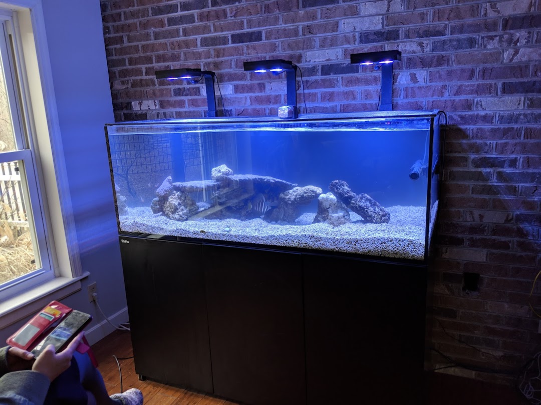 Aquatic Interiors Inc