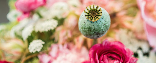 Florist «poppy & pine», reviews and photos, 2501 Dallas St #158, Aurora, CO 80010, USA