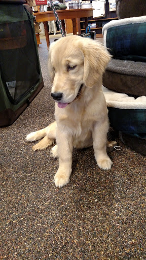 Clothing Store «Orvis», reviews and photos, 11800 W Broad St Suite 1650, Richmond, VA 23233, USA