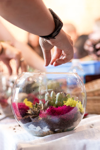 Wholesale Florist «Urban Jungle», reviews and photos, 2603 Sherman Ave NW, Washington, DC 20001, USA