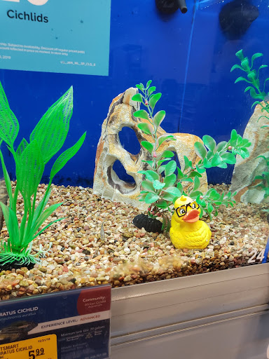 Pet Supply Store «PetSmart», reviews and photos, 1236 Greenbrier Pkwy, Chesapeake, VA 23320, USA