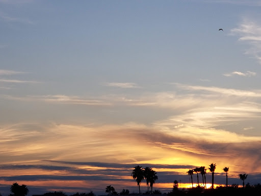 Photo Shop «Walmart Supercenter», reviews and photos, 4101 S McColl Rd, Edinburg, TX 78539, USA