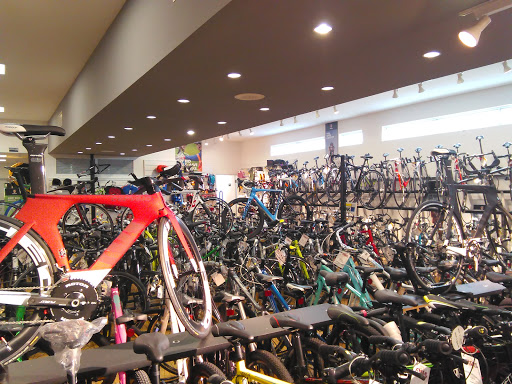 Bicycle Store «Cycle World Miami», reviews and photos, 8476 SW 40th St, Miami, FL 33155, USA