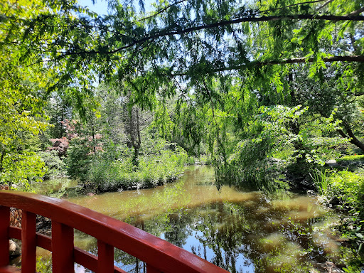 Museum «Cranbrook Art Museum», reviews and photos, 39221 Woodward Ave, Bloomfield Hills, MI 48303, USA