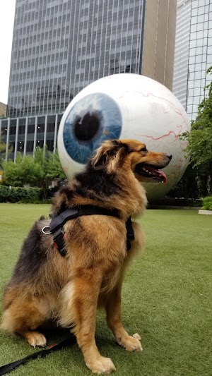 Giant Eyeball - photo 21