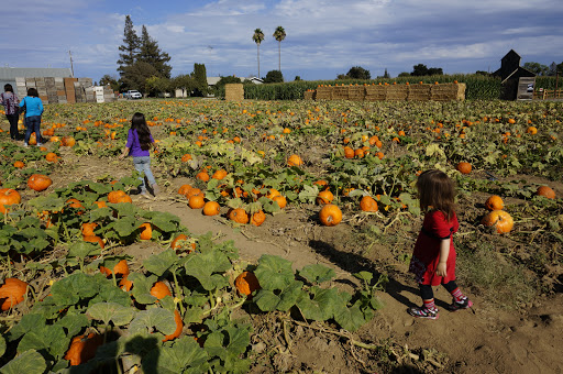 Vierra Farms