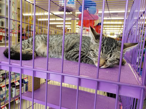 Pet Supply Store «Pet Supplies Plus», reviews and photos, 1258 Northlake Blvd, Lake Park, FL 33403, USA