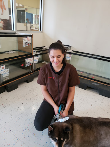 Pet Supply Store «Petco Animal Supplies», reviews and photos, 25 Hazard Ave, Enfield, CT 06082, USA