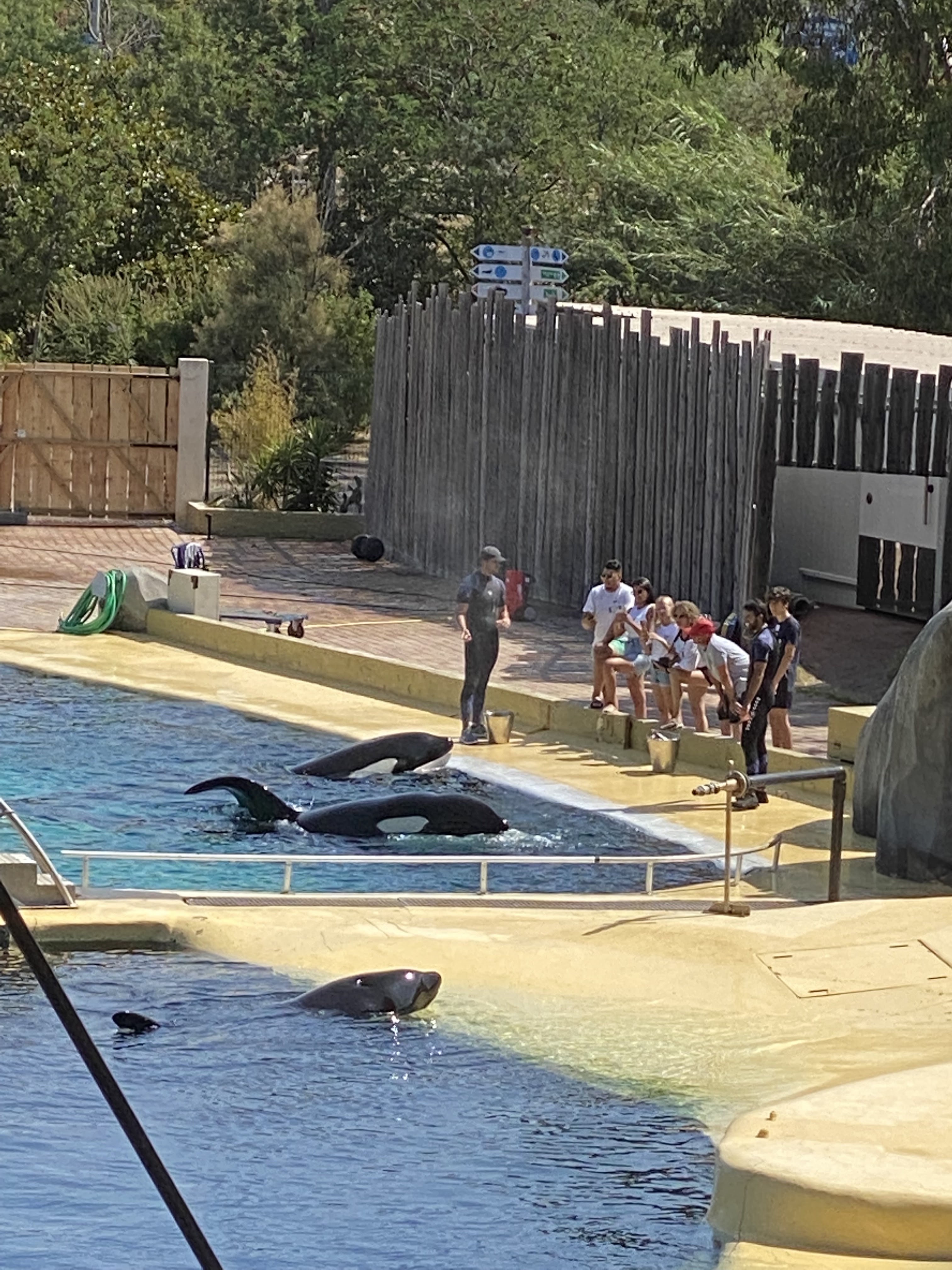Photo n° 2 de l'avis de Tiphaine.B fait le 28/07/2022 à 16:02