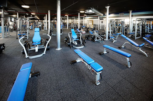 Crunch Fitness - Tampa Palms