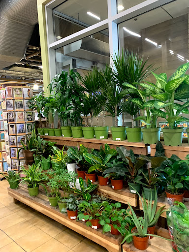 Grocery Store «Whole Foods Market», reviews and photos, 465 S Arroyo Pkwy, Pasadena, CA 91105, USA