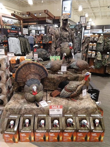 Outdoor Sports Store «Field & Stream», reviews and photos, 2075 Interchange Rd, Erie, PA 16509, USA