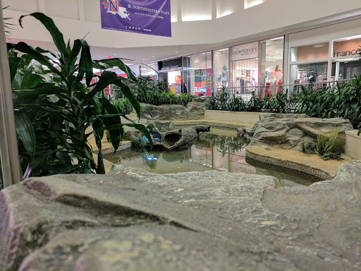 Shopping Mall «Mall St. Vincent», reviews and photos, 1133 St Vincent Ave #200, Shreveport, LA 71104, USA