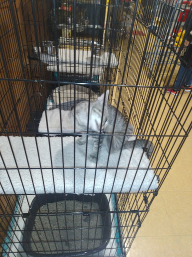Pet Store «Feeders Supply», reviews and photos, 187 Adam Shepherd Pkwy # 2, Shepherdsville, KY 40165, USA