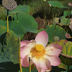 Photo n° 3 de l'avis de cedric.o fait le 04/10/2023 à 11:42 pour La Haute Touche à Obterre