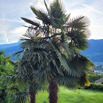 Photo n°4 de l'avis de Hugo.u fait le 29/05/2022 à 08:37 sur le  Traubenwirt Hotel à Marling