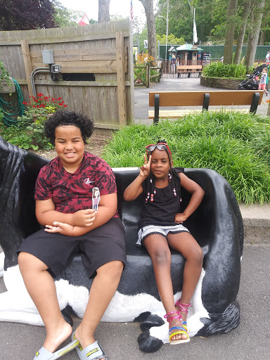 Tourist Attraction «Tree To Tree Cape May», reviews and photos, 707 U.S. 9, Cape May Court House, NJ 08210, USA