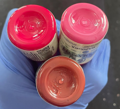 Explore red cardinal tattoo ideas, creative tattoo ideas in Willis, available at High Brow, Low Key