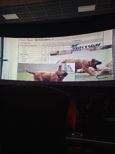 Movie Theater «AMC Classic South Bend 16», reviews and photos, 450 W Chippewa Ave, South Bend, IN 46614, USA