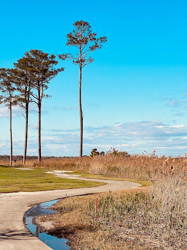 Golf Course «Ocean City Golf Club», reviews and photos