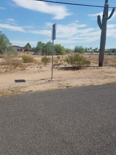 Auto Repair Shop «Arnold Auto Center», reviews and photos, 870 Apache Trail, Apache Junction, AZ 85120, USA