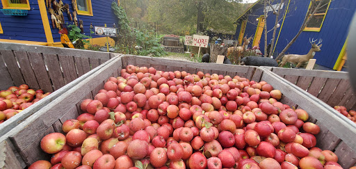 Gift Shop «Beech Spring Gift Shop», reviews and photos, 11600 Lee Hwy, Sperryville, VA 22740, USA